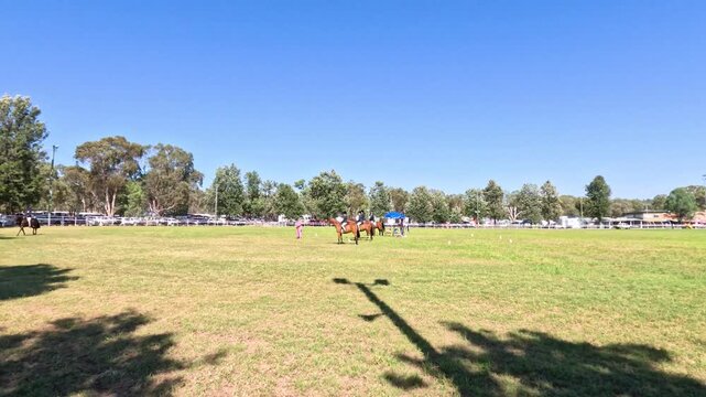 People riding horses on green field during sunny day at equestrian showgrounds with clear blue sky.