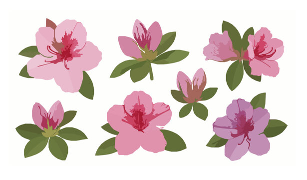 Decorative azalea flower vector composition with floral pattern style elegant botanical design isolated on white