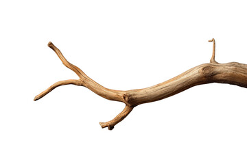 Obraz premium Dry branch structure with natural wood texture, isolated on a transparent background, rustic element for design