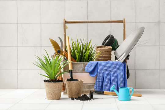 Composition with gardening tools, plant and soil on table against white background
