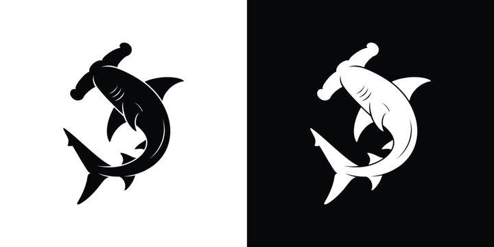 Black and white dolphin and shark animal marine life