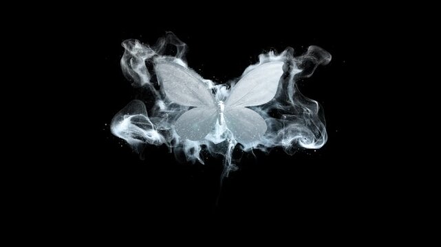 Butterflies flying while shining turn and split Animation. butterfly spreads its wings and disappears with a camera shake effect. butterfly intro HD