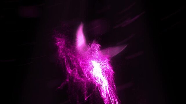 Pink Fire Phoenix Flame Animation. Logo Intro Animation Flame. Phoenix Pink Flame Logo