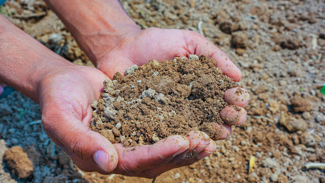 A person holding a handful of brown soil in their cupped hands