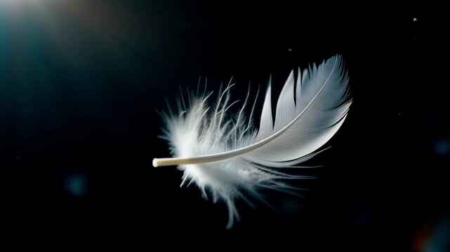 Macro of Single White Feather Floating in Slow Motion in Dark Studio