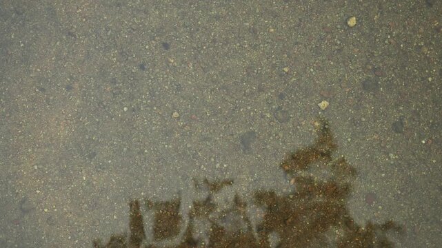 Texture of flowing transparent water over rocks. Loop.
