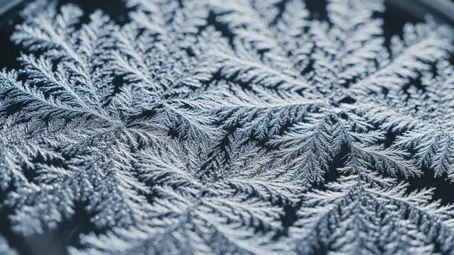 Intricate Frost Patterns on a Cold Winter Surface.