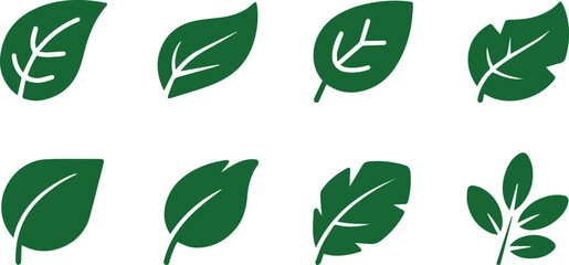 Leaf icons for season and foliage sets © Icon Stock