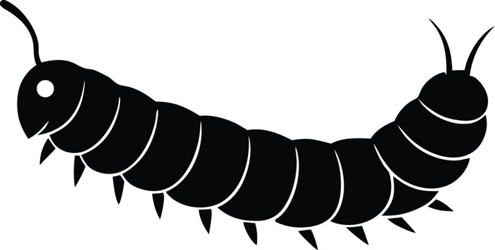 Caterpillar insect larva garden nature creature