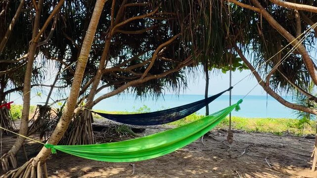 Colorful hammocks hanging between tropical pandanus trees on a sandy beach. Bright green and red hammock in the shade, ocean water view on a sunny day. Summer vacation relax and lifestyle concept.