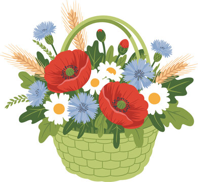 Hand drawn wildflower basket illustration with red poppies daisies and blue cornflowers for summer garden vector