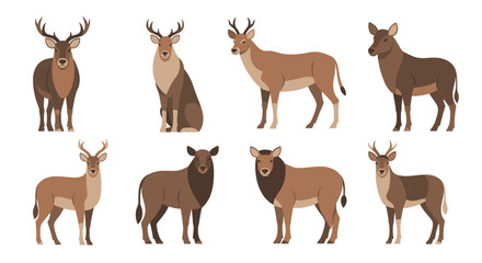 Obraz premium Deer Animals Standing Various Breeds.