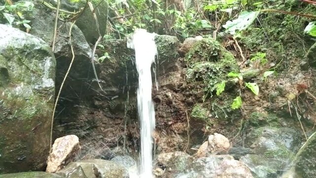 A serene waterfall cascades down a rocky slope surrounded by lush greenery and plants in a natural landscape.