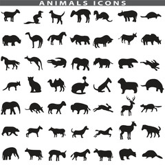 Fototapeta premium Animal silhouette collection. Set of black animal silhouette. Animal icons. Mammal, fish, insects, birds, reptiles silhouette collection. Wild, domestic animals icons