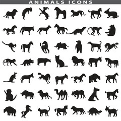 Obraz premium Animal silhouette collection. Set of black animal silhouette. Animal icons. Mammal, fish, insects, birds, reptiles silhouette collection. Wild, domestic animals icons