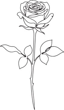 Black line of a single rose with stem and leaves flower