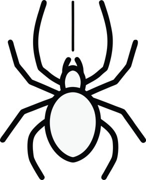 spider body with eight legs optional web arc be line art vector illustration on transparent background