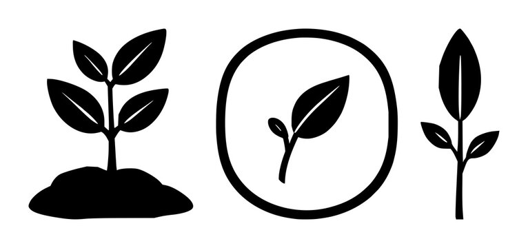 Micro-investment seed icon set with solid black icon on white background featuring finance, growth, small investment symbol with minimalist style and clear design