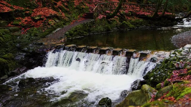 Stepping Stone Bridge in Tollymore Forest Park with Flowing Water and Fallen Leaves