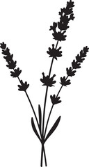 Fototapeta premium Black silhouette of lavender flowers on white background