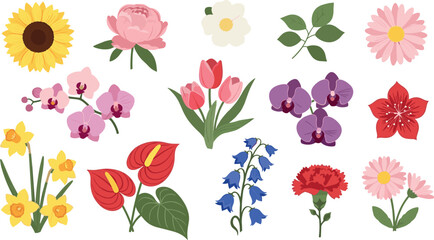Colorful flat flowers collection with sunflower tulip orchid and decorative garden plants simple vector illustration set isolated © Rumi
