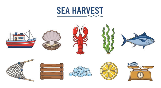 Illustration of ten sea harvest items boat oyster lobster seaweed tuna net crate ice lemon scale