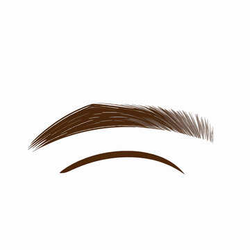 Flat vector illustration of a single S-shaped dark brown eyebrow for a woman, minimalist beauty icon isolated on white background, professional eyebrow shaping and microblading concept art.