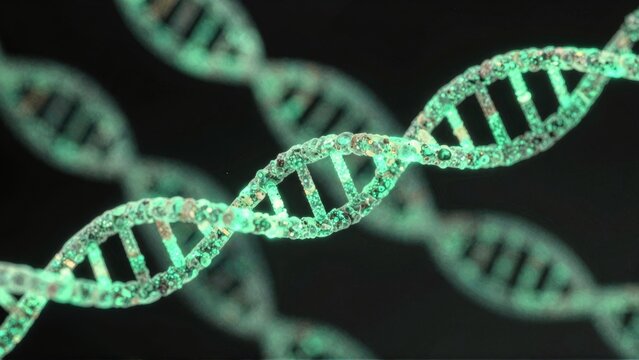 A closeup photograph of a double helix DNA structure with green highlights on a dark background