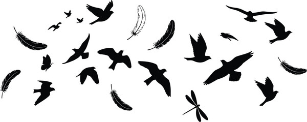 Black silhouettes of birds and insects flying on white background © Graphic Shops