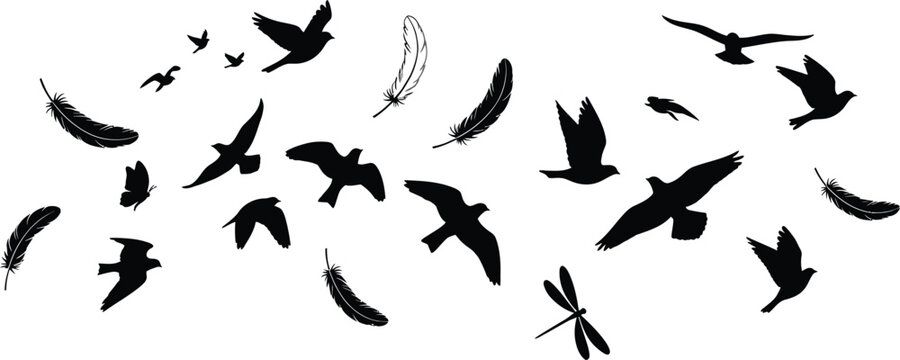 Black silhouettes of birds and insects flying on white background