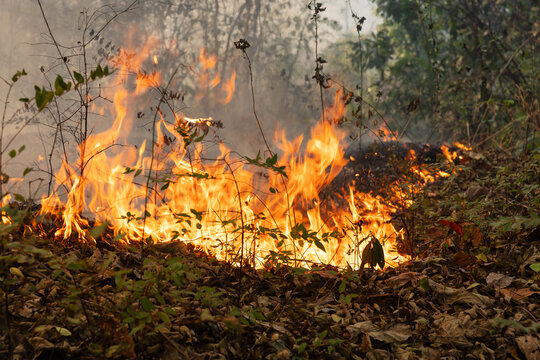 Greenhouse gas emissions from agricultural residue burning have increased in southeast asia.