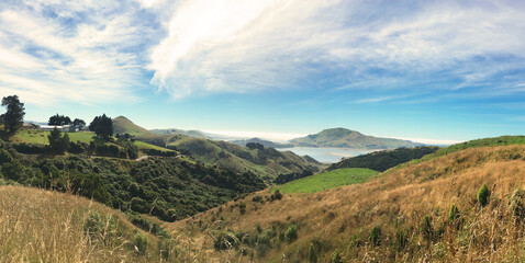 Stunning panorama of New Zealand hills and coastline - Vibrant green rolling pastures and golden grass overlooking the Pacific Ocean under a bright blue summer sky with wispy clouds © Tipstour