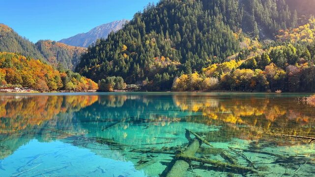 Jiuzhaigou national park in autumn, China.	
