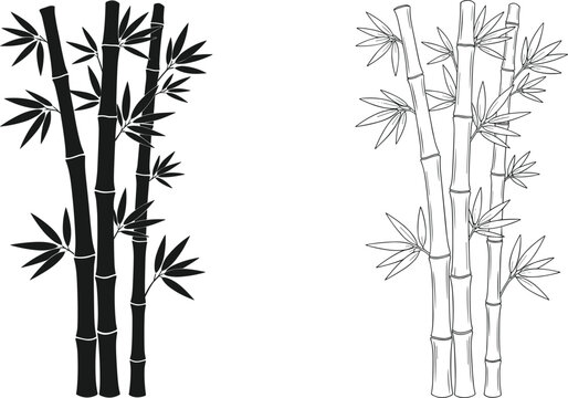 Stylized bamboo illustrations in silhouette and outline styles, showcasing natural design, botanical art, and artistic plant representation concepts