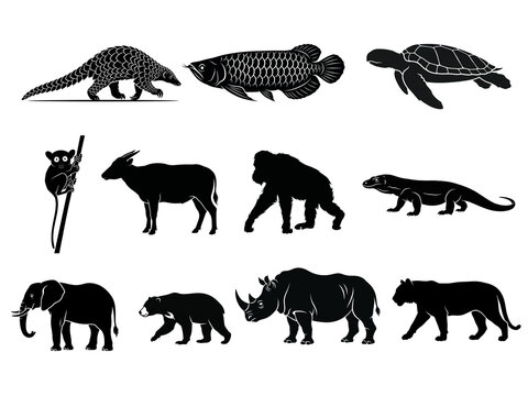 Vector silhouette protected and endangered Indonesian animals