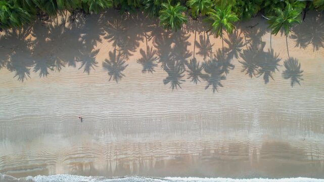 Birds eye aerial above a person walking on white sands of Bom Bom beach, Sao Tome