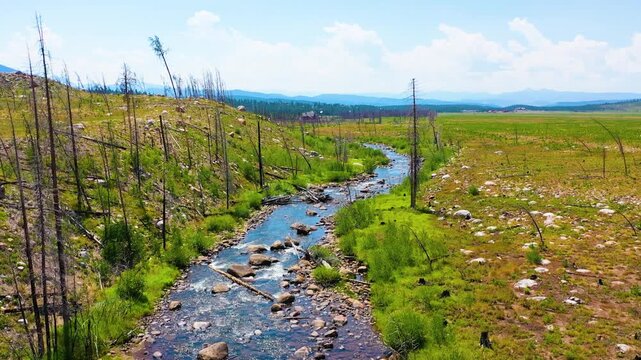 Cinematic aerial retreating above a Montana style river through wide western meadowland with stones green creek margins burned trees and long mountain vistas beneath bright clouds