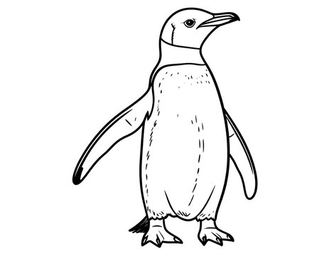 A black and white line drawing of a standing penguin