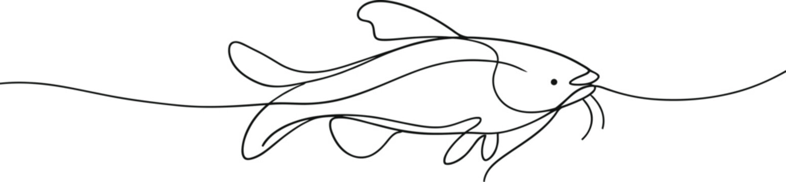 Salmon fish in continuous line art drawing style. Minimalist black linear sketch on white background. Vector illustration
Fresh salmon fish in continuous line art drawing style, Rudd, roach fish,