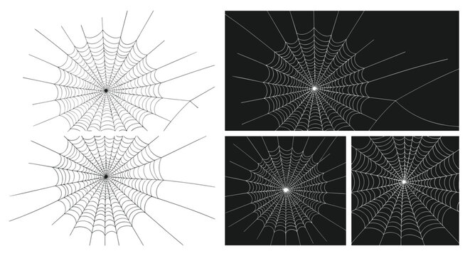 Variety of spider web patterns shown in black and white styles including circular designs and corners for spooky themes.