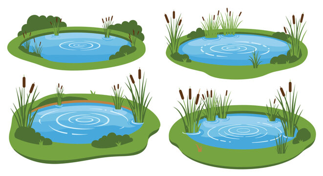 Set of four small natural ponds with blue water ripples, green grass, reeds, and bushes for landscape design.