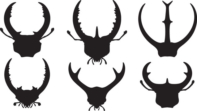 Desert Beetle Mandible and Horn Details