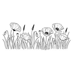 Naklejka premium delicate black and white poppy flowers and grass illustration for nature design