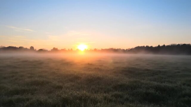 Field dawn