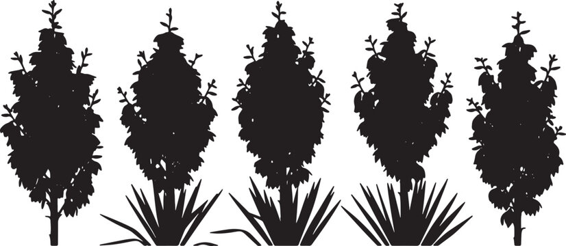 Blooming Yucca Plant Silhouettes