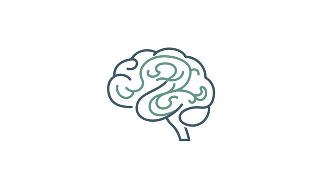 Brain Illustration Human Cerebral Organ.