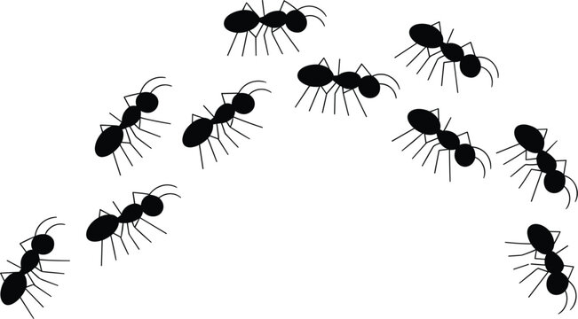 Ant colony forming house shape, teamwork concept illustration for community, cooperation, unity and organization design creative