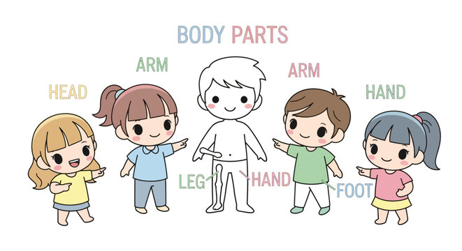 Cartoon children body parts labels.
