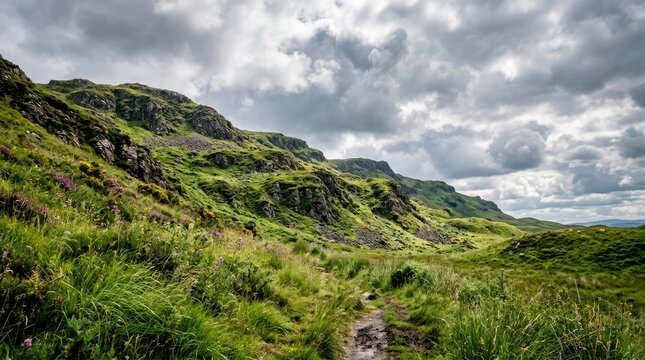 A wide-angle photograph captures a rugged mountain landscape under a dramatic, cloudy sky. A narrow, muddy trail winds through a vibrant green valley filled with wildflowers and tall grasses.