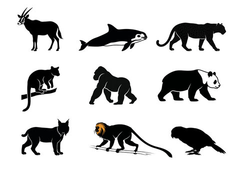 Vector silhouette rare and protected animals of the world
